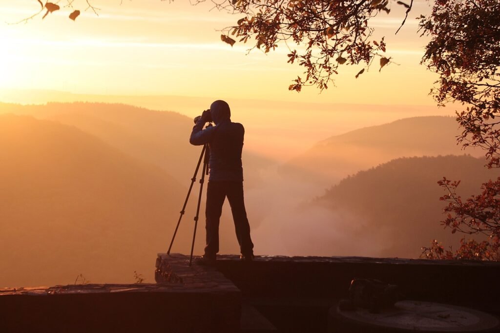 Observación de aves